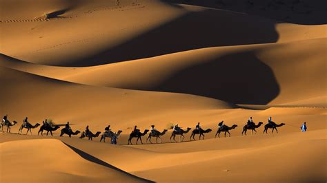 50 Sahara Desert Wallpaper Wallpapersafari