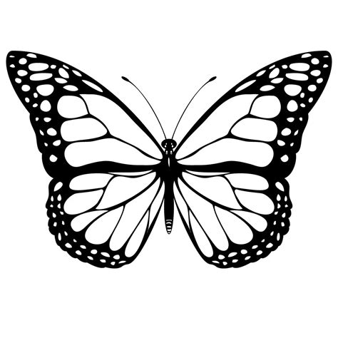 Descubrir Imagen Dibujos De Mariposas Para Colorear Grandes Viaterra Mx