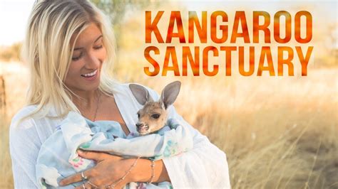 Alice Springs Kangaroo Sanctuary Youtube