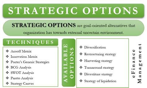 Strategic Options Meaning Techniques Uses And Choices