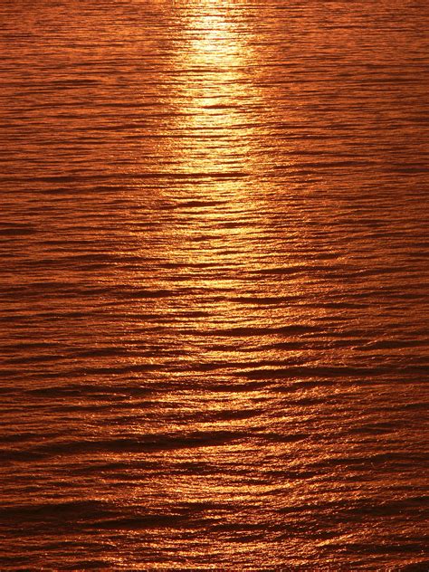 Sunset Light Over Sea Free Stock Photo Public Domain Pictures