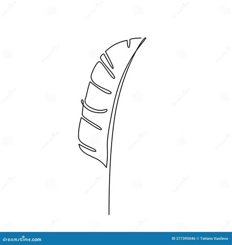 Banana Leaf Line Art Vector Plant Leaf Continuous Line Drawing Vector