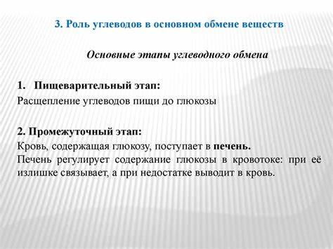 Чем можно наладить обмен веществ в организме и похудеть