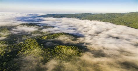 Reserva De La BiÓsfera El Cielo El ParaÍso En Tamaulipas National