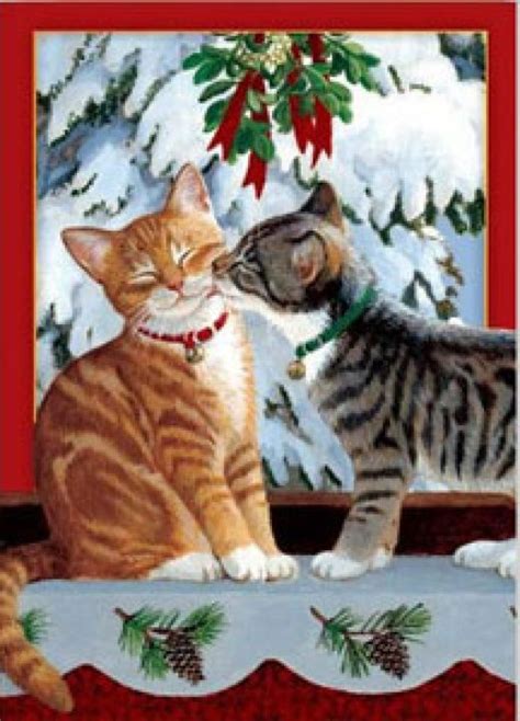Funny Image Collection Very Funny Christmas Cat Pictures