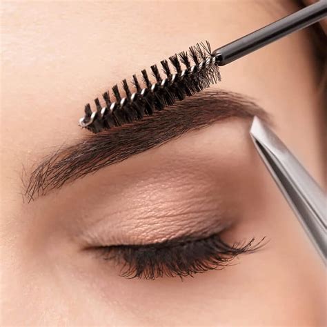 Eyelash And Eyebrow Courses Decorum Aesthetics