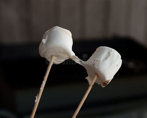 Melted Marshmallows Stock Image Image Of Yummy Roasted 19942013