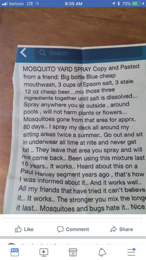 How to repel mosquitoes without bug spray. Pin by Melissa Goldring on Gardening | Mosquito yard spray, Cheap beer, Cleaning recipes