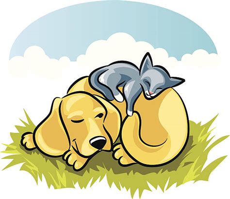 Cat And Dog Clipart 20 Free Cliparts Download Images On Clipground 2024