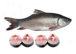 It is a large omnivore and extensively used in aquaculture. Rohu Fish at Rs 189/kilogram | Hyderabad| ID: 16179251730