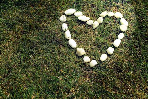 Free Images Grass Outdoor Branch White Love Heart Decoration