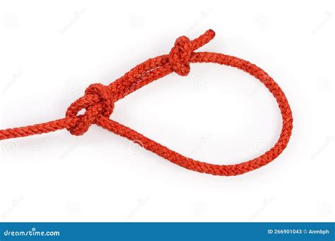 Rope Knot Bowline With Stopper Knot On White Background Stock Image