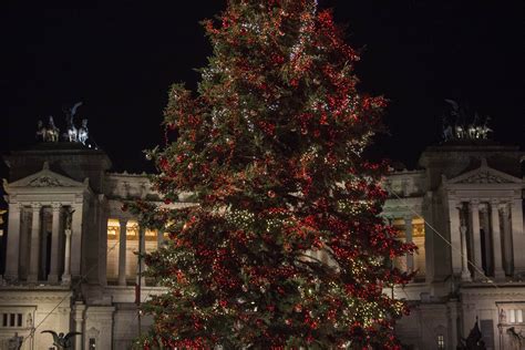 Globalnews.ca your source for the latest news on albero natale roma. Altro che Spelacchio: quest'anno l'albero di Natale di ...