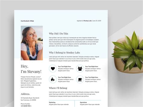 New cv format major magdalene project org. 65 Best Free MS Word Resume Templates 2020 - WebThemez