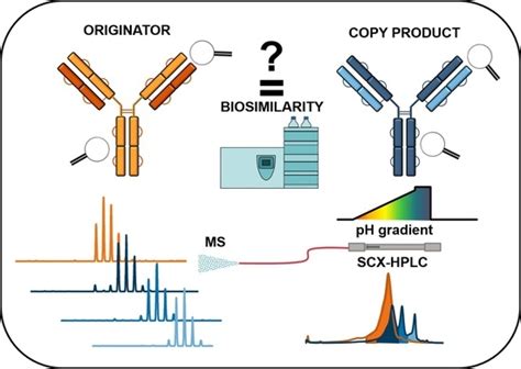 Ijms Free Full Text Simultaneous Monitoring Of Monoclonal Antibody