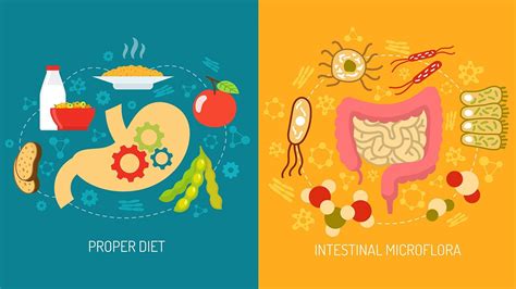 How Your Gut Microbiome May Affect Diabetes Everyday Health