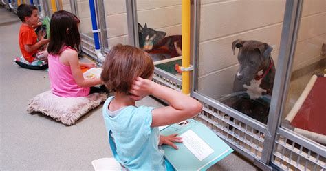 Children Read Books To Shy Shelter Dogs To Prepare Them