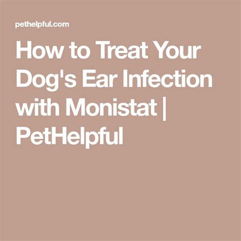 How To Treat Your Dogs Ear Infection With Monistat Pethelpful Ear