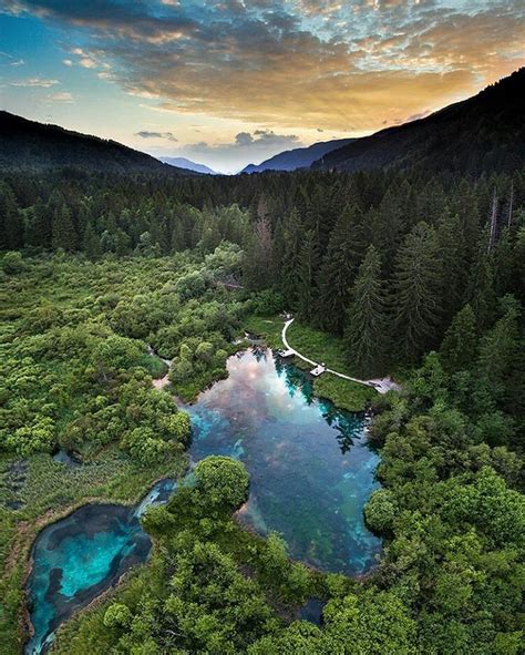 The Zelenci Nature Reserve Is What Heaven Looks Like 😉 The Unspoiled