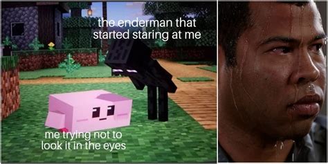 Minecraft Enderman Memes That Are Hilariously Funny My Xxx Hot Girl