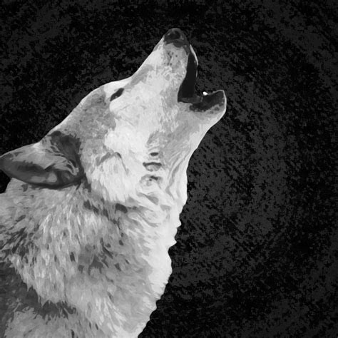 10 Most Popular Black And White Wolves Wallpaper Full Hd