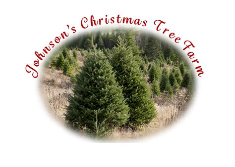 Welcome To Johnsons Christmas Tree Farm