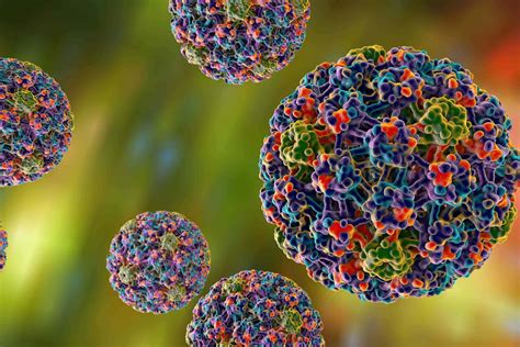 Investigadores Del Ipn Logran Eliminar El Virus Del Papiloma Humano