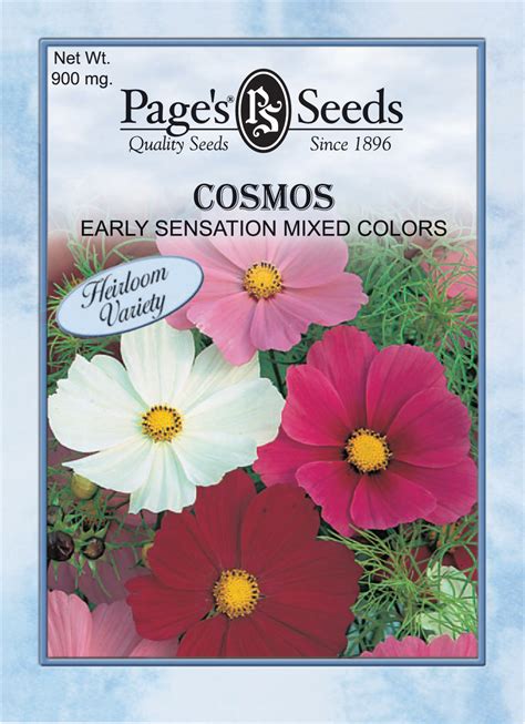 Cosmos Early Sensation Mixed Colors The Page Seed Company Inc