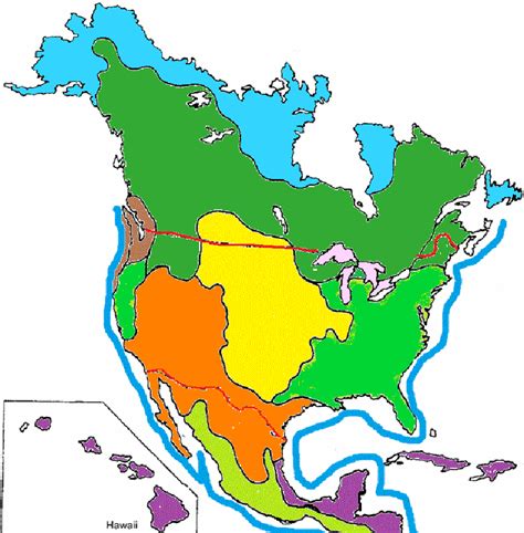 Color The Biomes Of North America On A Map🌎