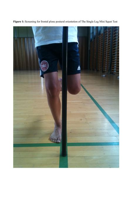 Single Leg Mini Squat An Inter Tester Reproducibility Study Of