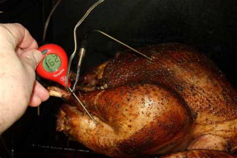 Get Where Is The Best Place To Place A Thermometer In A Turkey Png