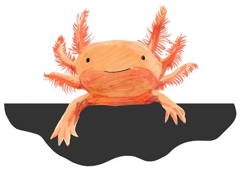Salamandra Ajolote Animado Axolotl Mexican Dibujoajolote Dibujo Animado