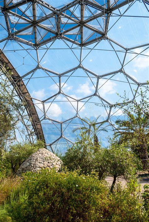 The charity said the east dock street site would be a powerful symbol of regeneration. Innenraum Von Mittelmeerbiome, Eden Project Stockfoto ...