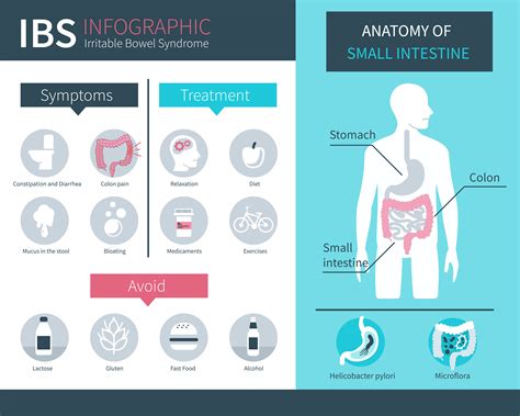 Ibs Symptoms Treatment And What Food To Avoid