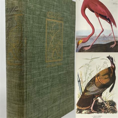 John James Audubon The Birds Of America 500 Full Page Catawiki