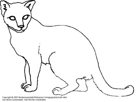 / durch klicken malvorlage katze katzen malvorlagen 123 malvorlage katzen. Katze 3 - Medienwerkstatt-Wissen © 2006-2021 Medienwerkstatt