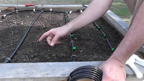 Installing A Drip Irrigation System For Raised Beds Youtube