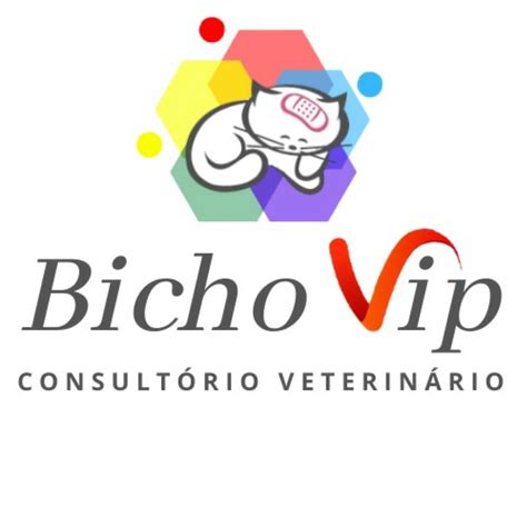 consultório veterinário bicho vip