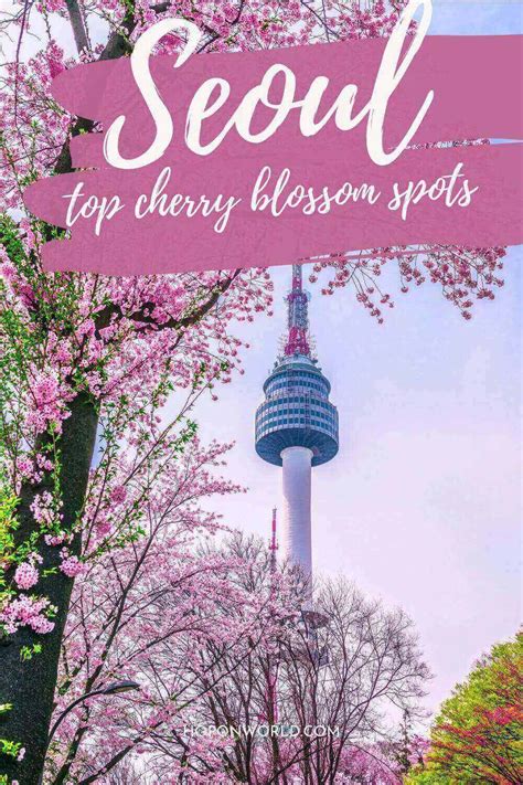 Where To See Cherry Blossoms In Seoul Artofit