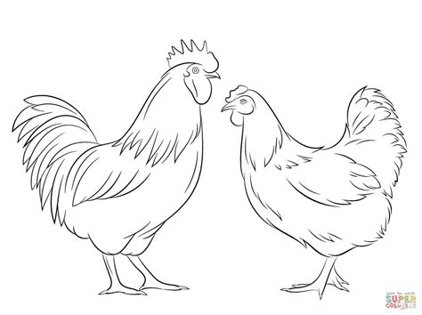 Rooster Drawings Images At Explore Collection Of
