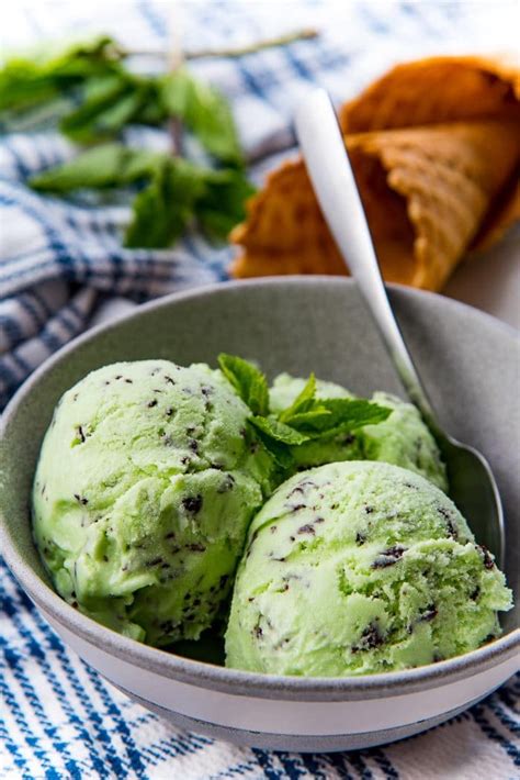 The Best Mint Chocolate Chip Ice Cream The Flavor Bender