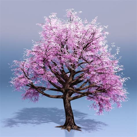 Cherry Blossom Tree 3d Model 29 Max Obj Fbx Dxf