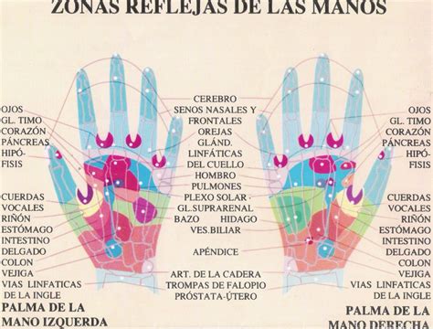 Reflexología En Las Manos Reflexología Reflexología De Mano