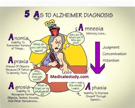 Alzheimer Diagnoses Mnemonic Medical Estudy