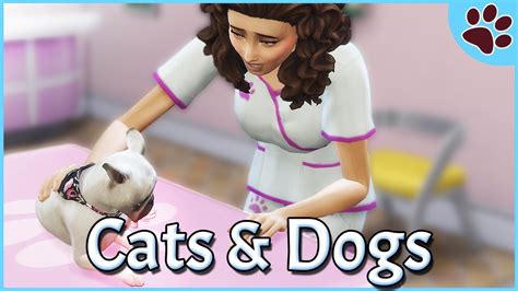 Becoming A Vet The Sims 4 Cats And Dogs Part 4 Youtube