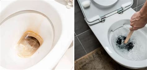 How To Fix Brown Toilet Water 8 Effective Steps 2023