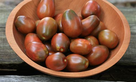 Black Plum Paste Processing Tomato 016 G Southern Exposure Seed