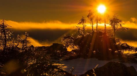 Water Snow Lake Mist Sun Rays Calm Reflection Sunrise Trees