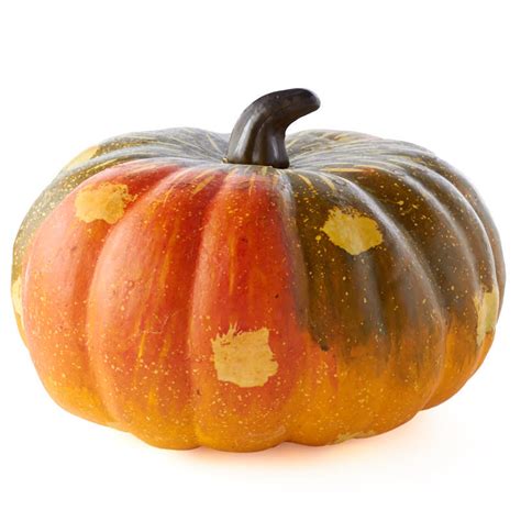 Large Artificial Pumpkin On Sale Seasonal Holiday Crafts