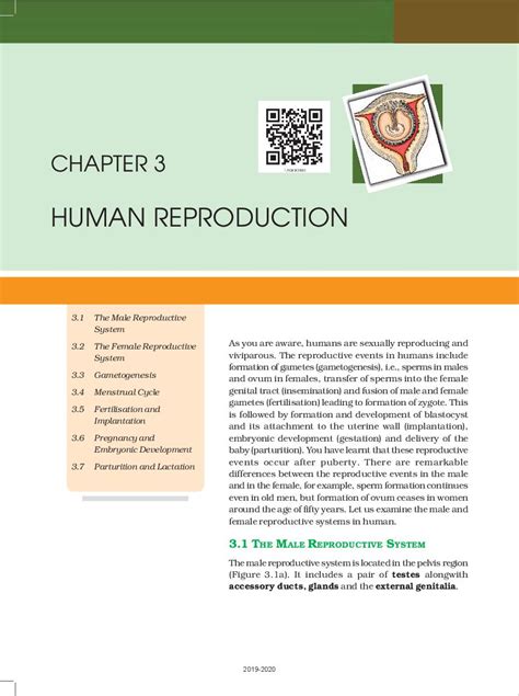 Rbse Book Class 12 Biology Chapter 3 Human Reproduction Hindi